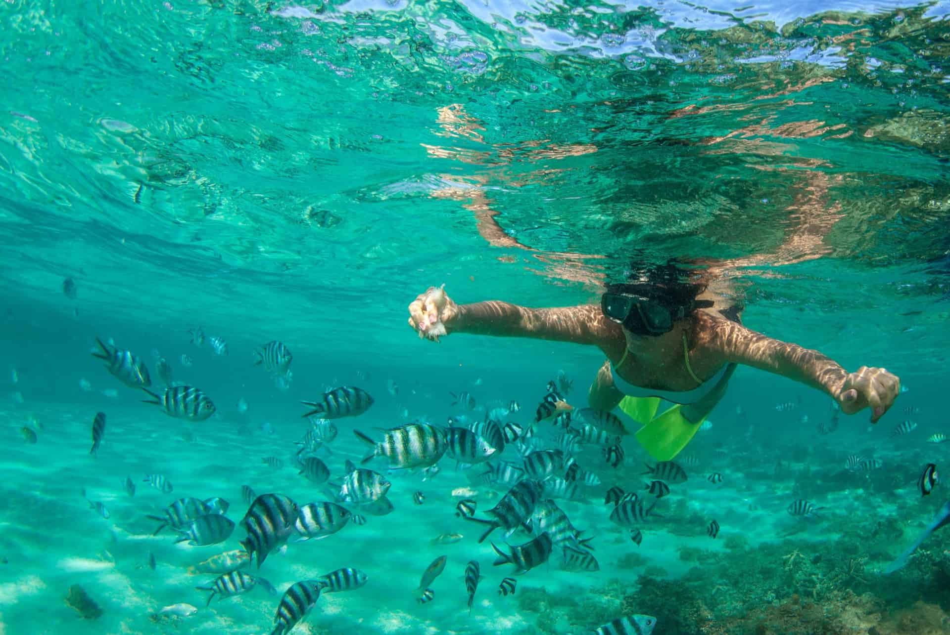 plongee ile maurice en octobre