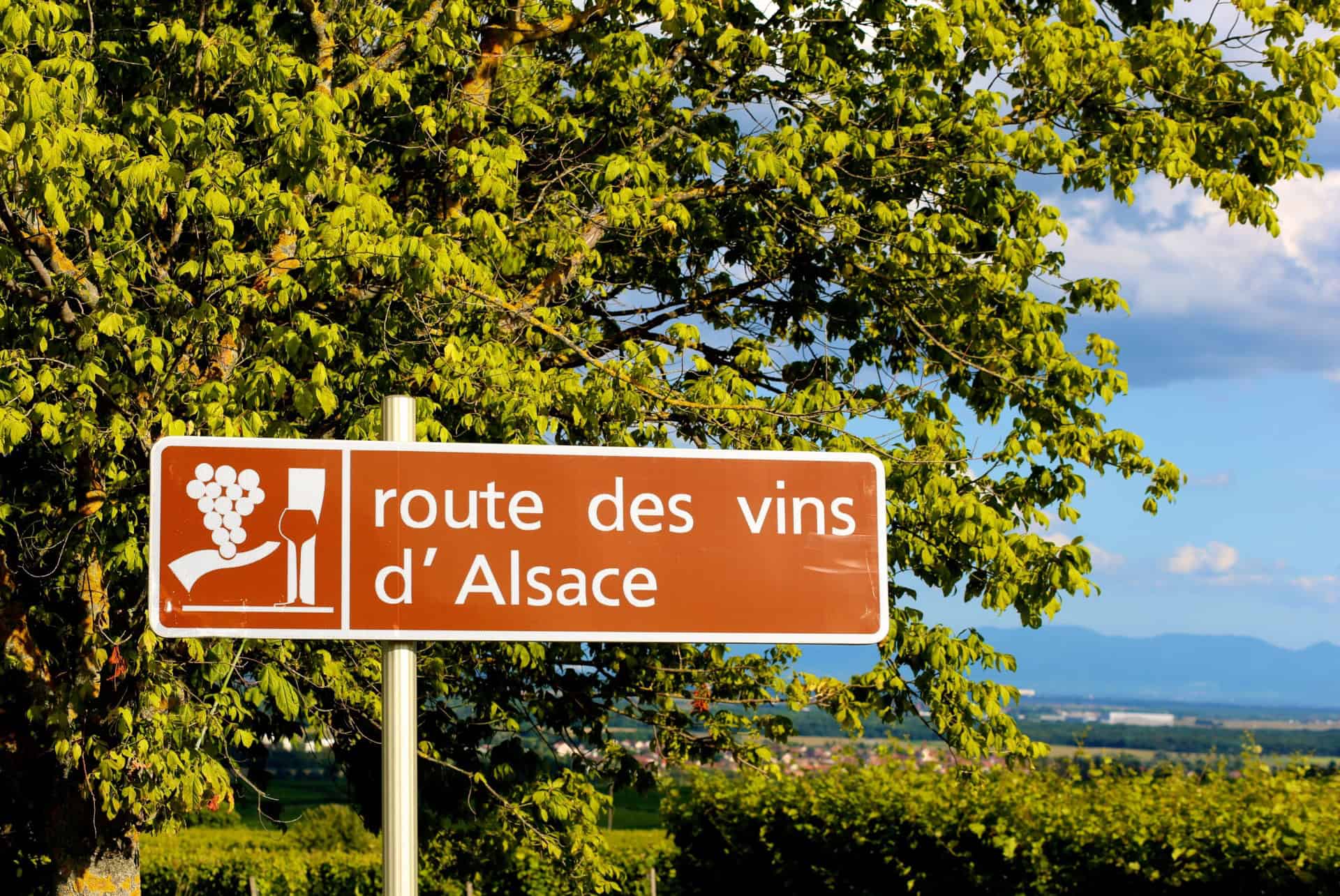 route des vins alsace panneau