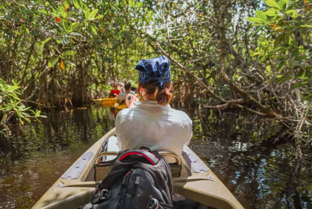 Kayak dans la mangrove