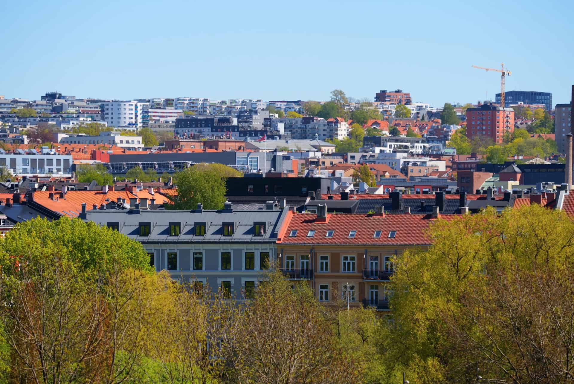 grunerlokka norvege
