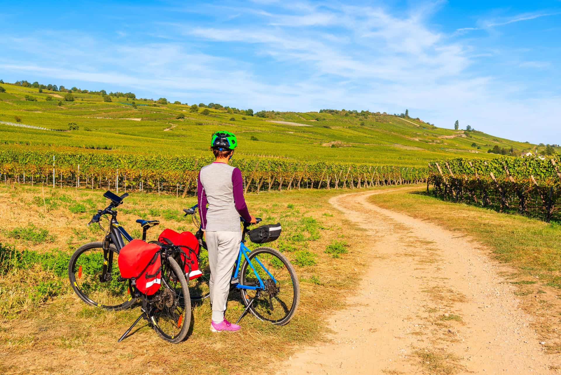 route des vins alsace a velo