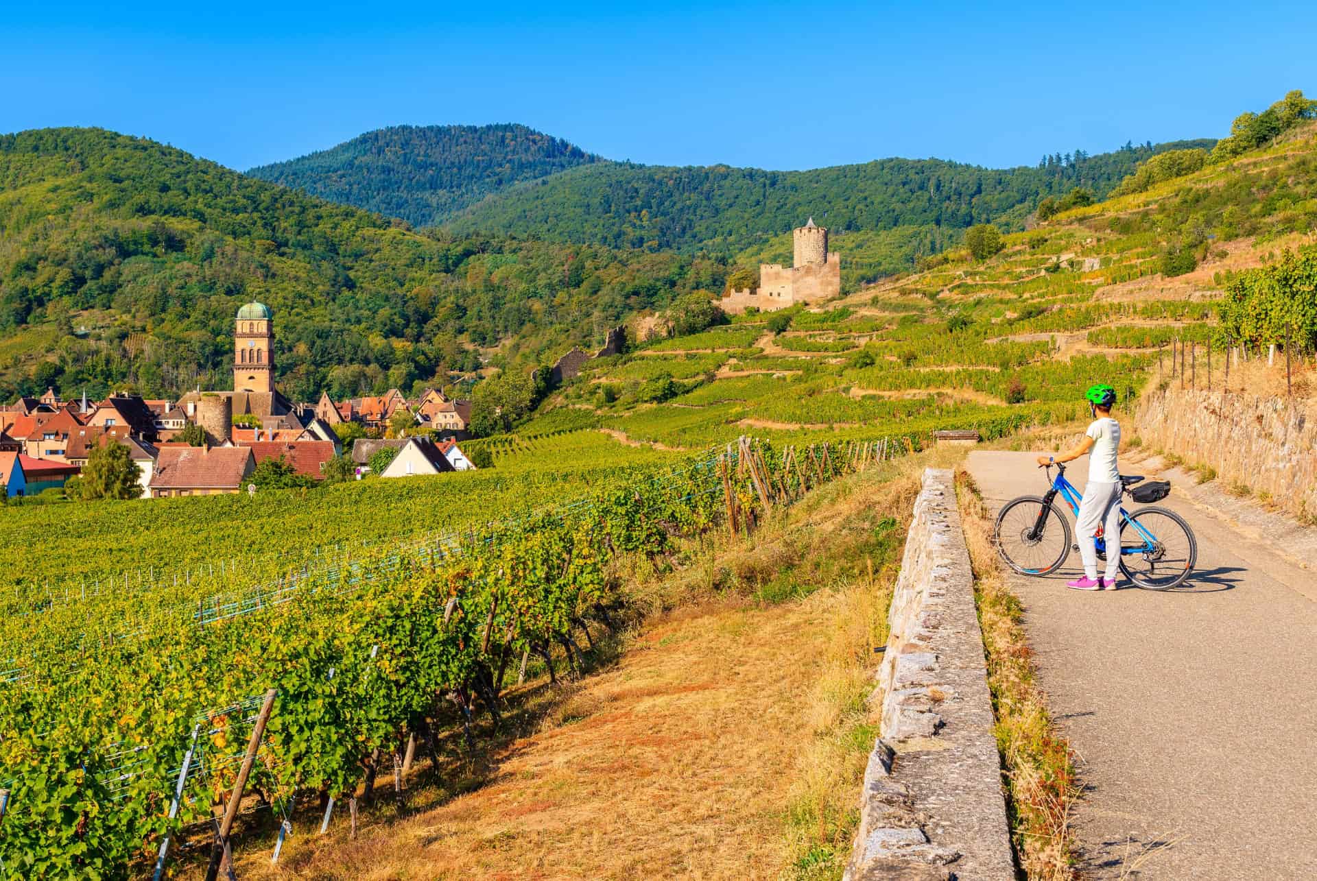 velo route des vins alsace