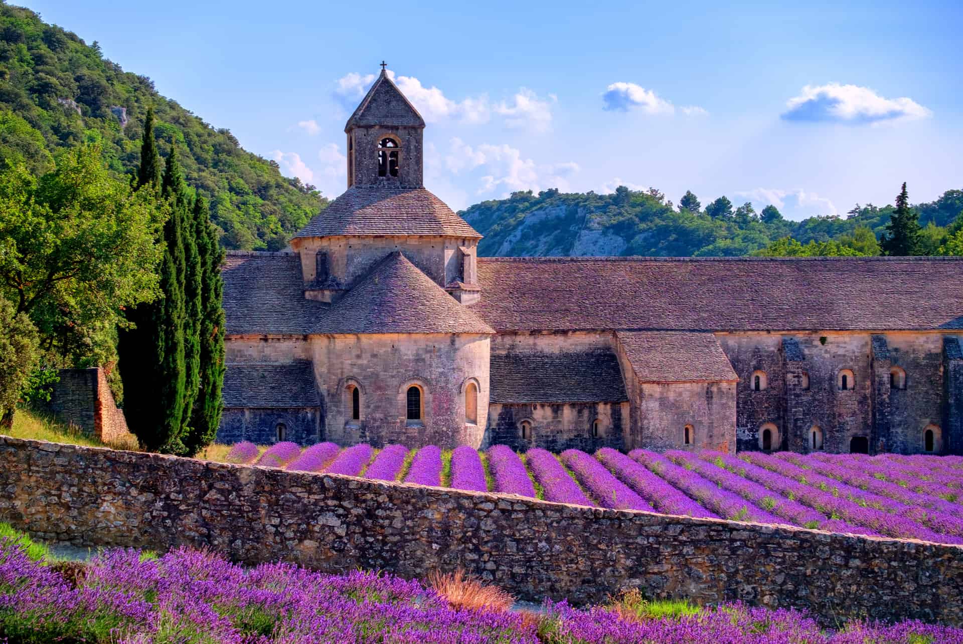 abbaye de senanque villages provence