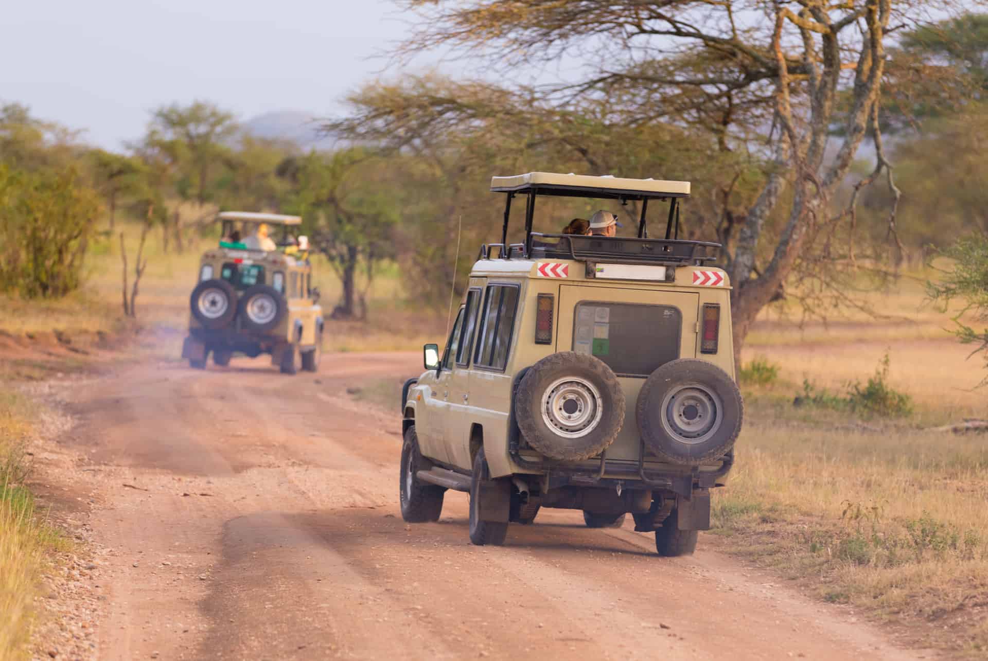 louer un vehicule pour un safari en afrique