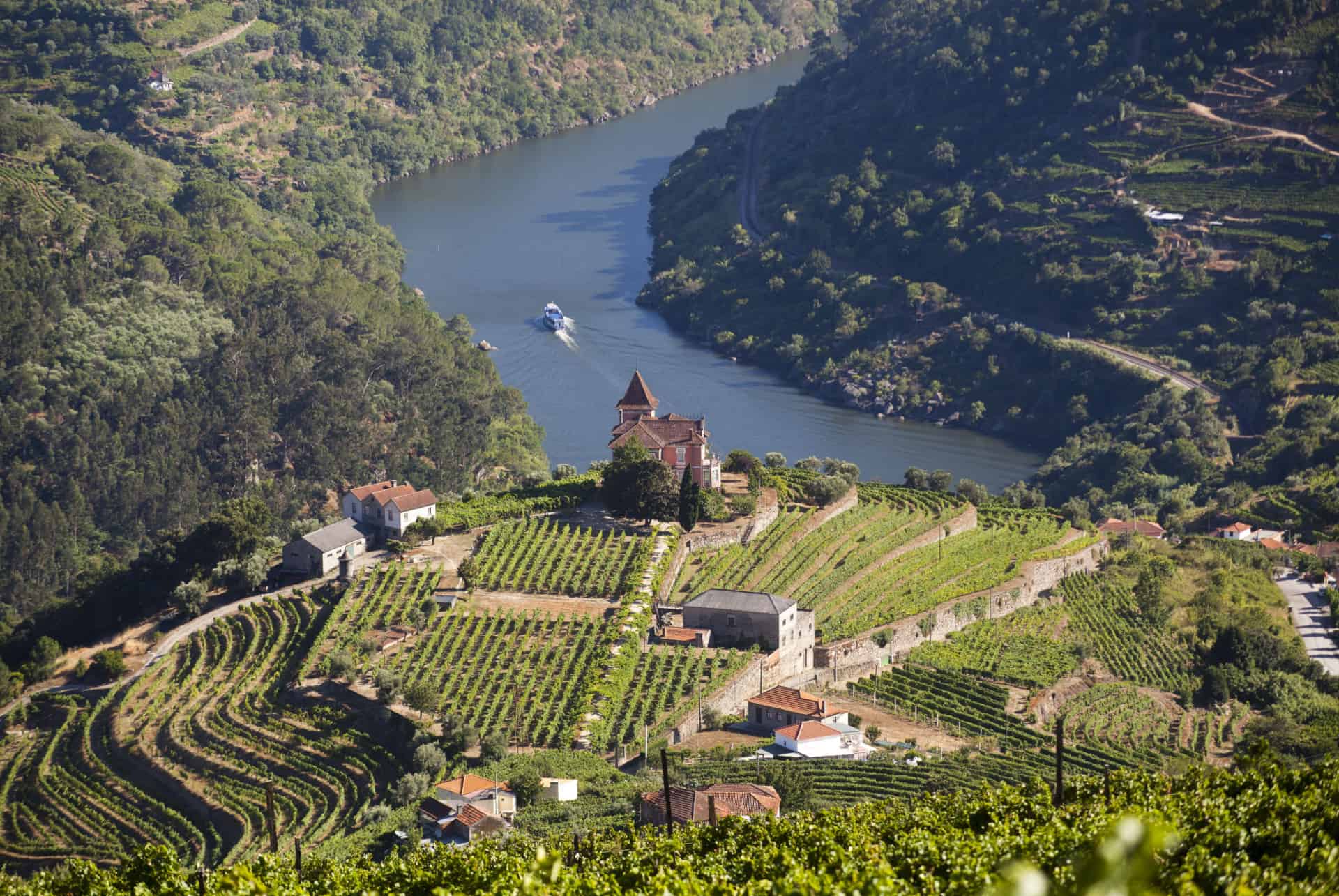 vallee du douro