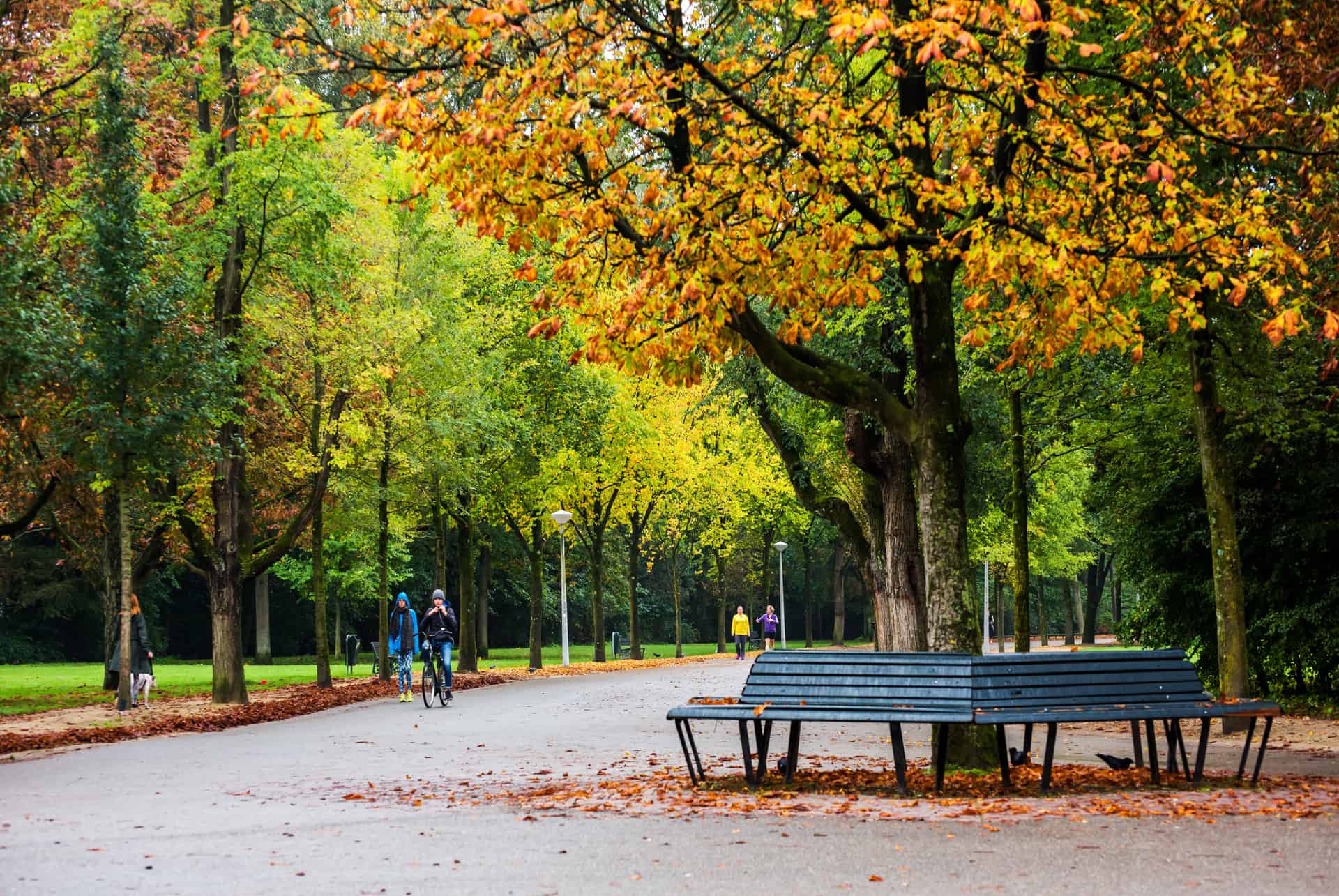 vondelpark Visiter Amsterdam en 2 jours