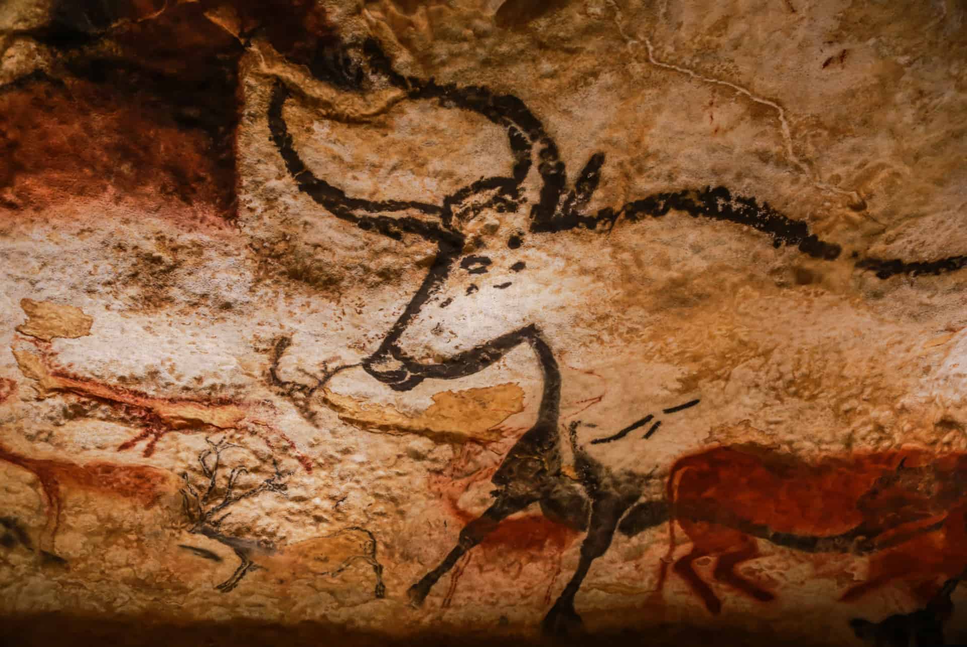 grottes de lascaux que faire dordogne