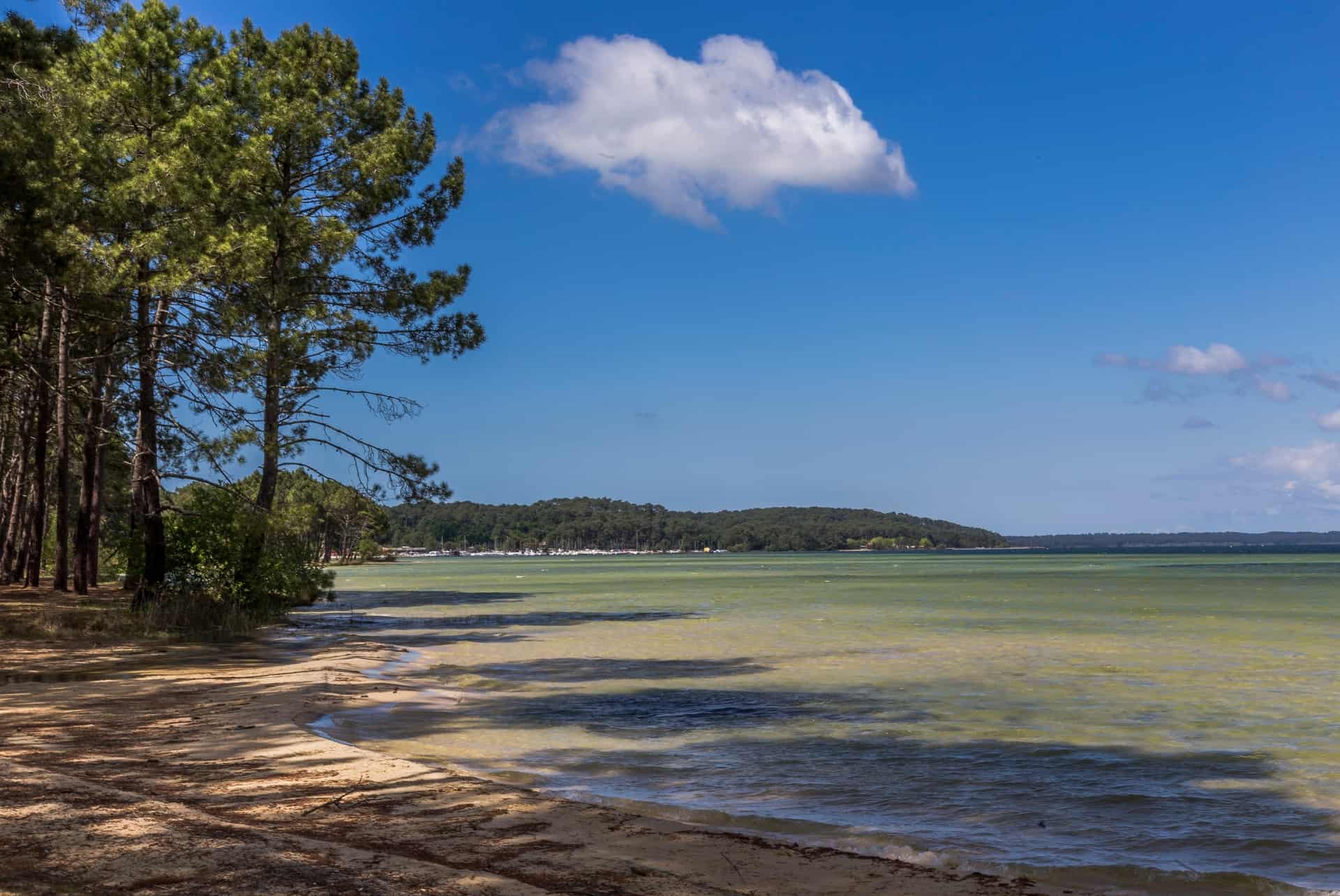 lac de biscarosse que faire landes