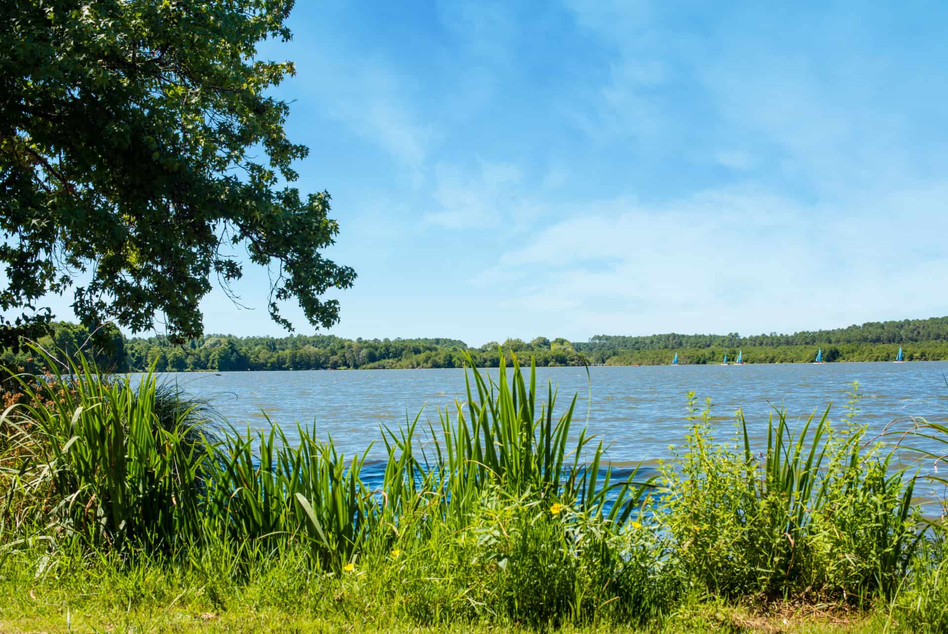 lac de soustons landes