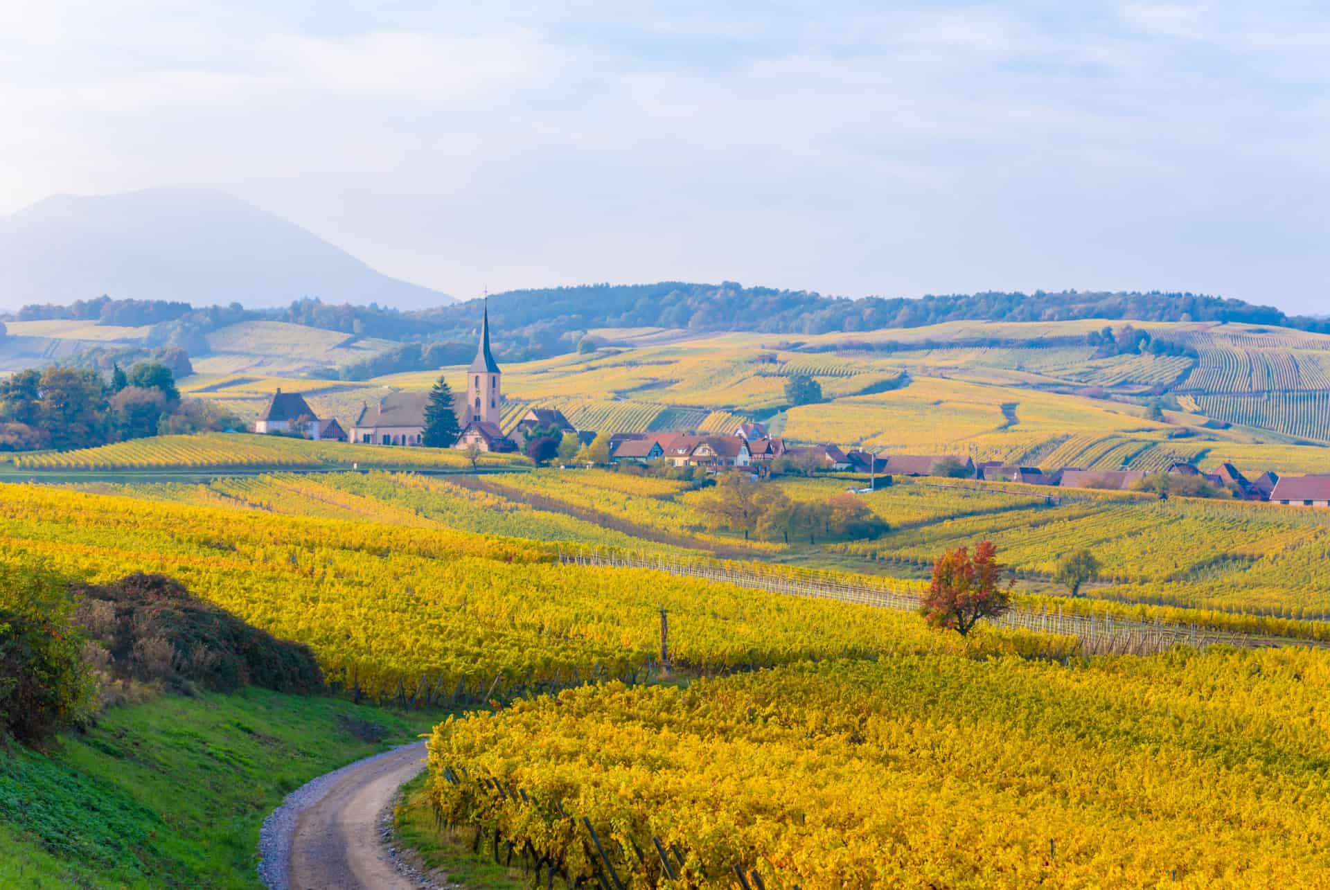 Mittelbergheim plus beaux villages alsace