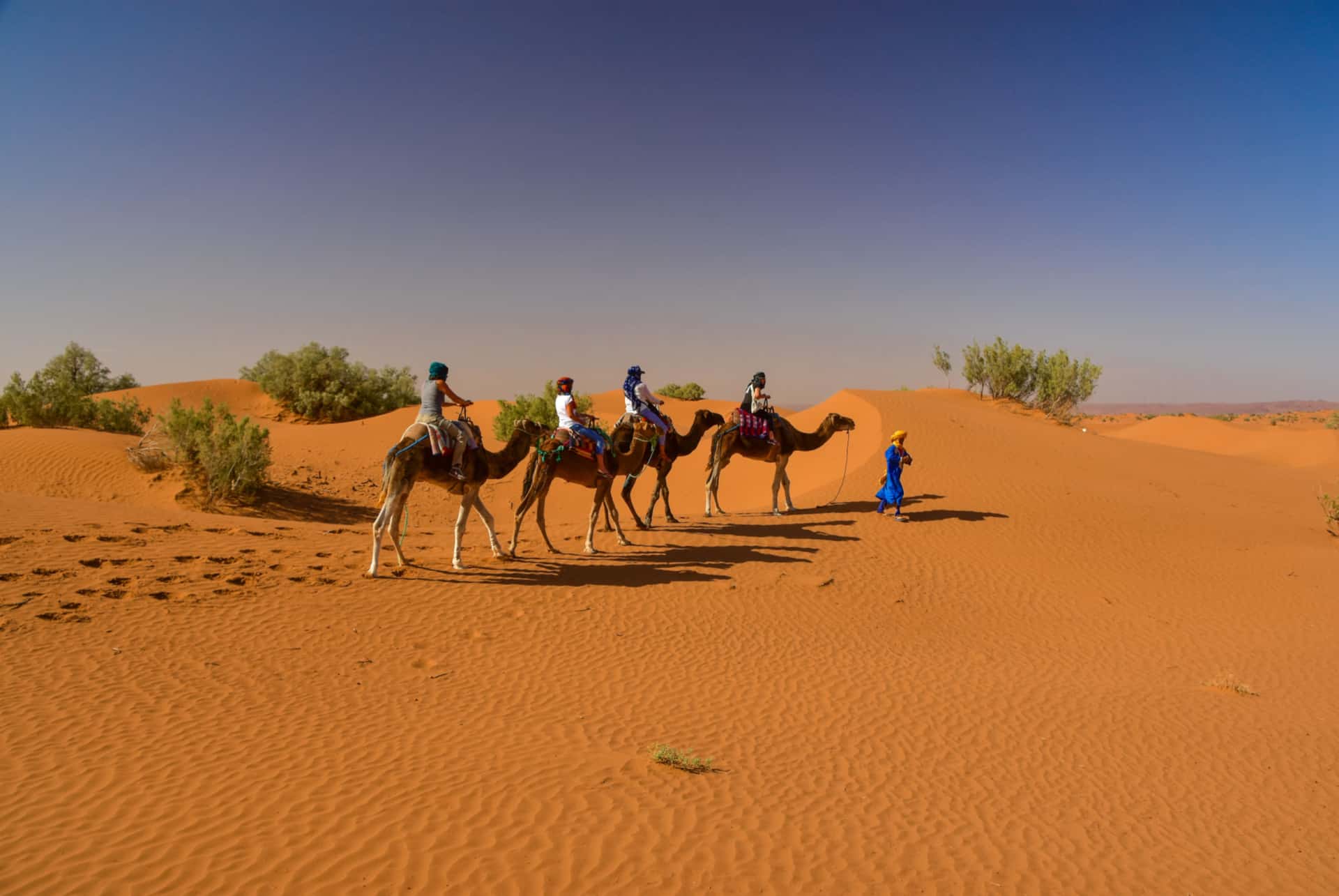 excursion desert de zagora