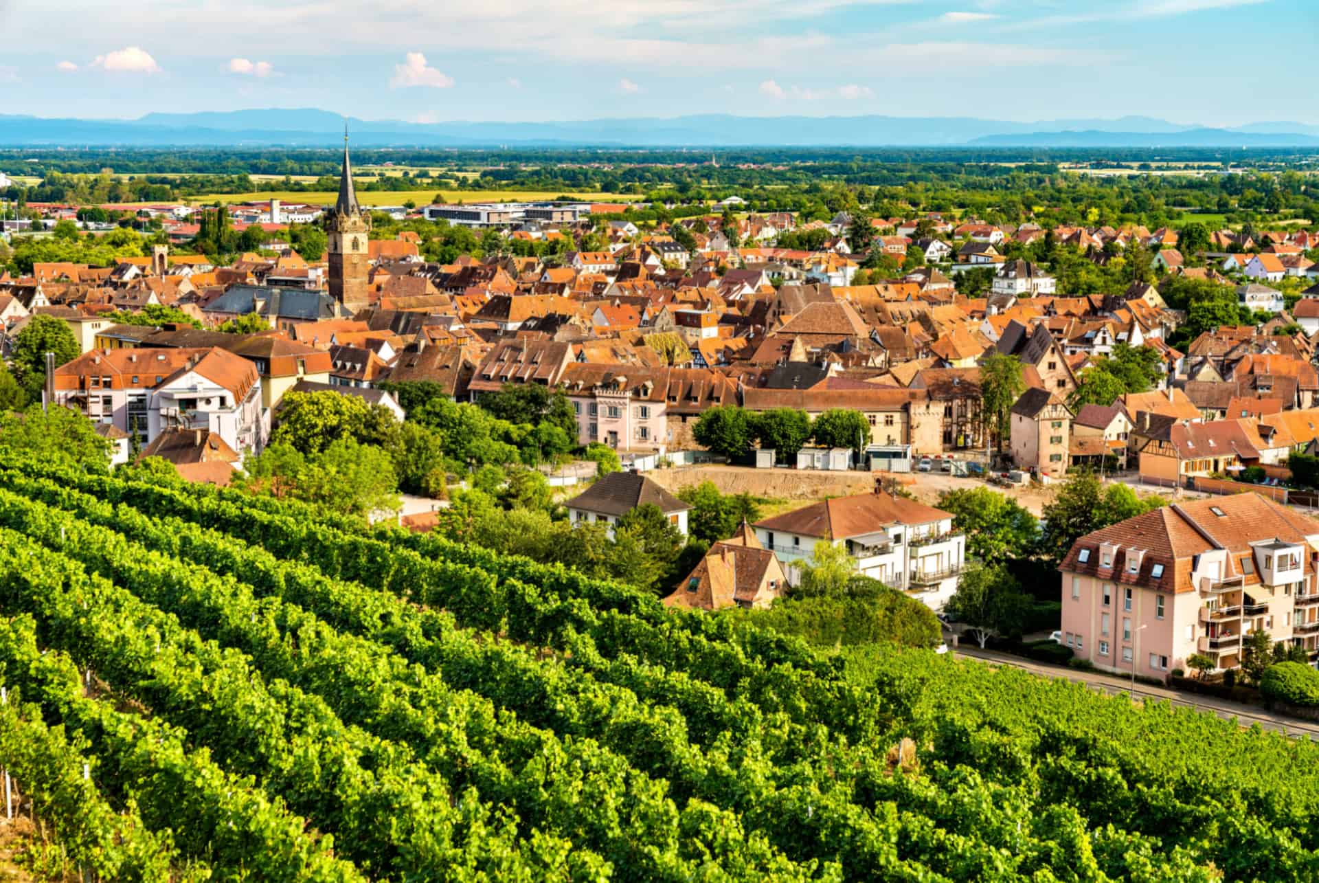 obernai vignobles plus beaux villages alsace