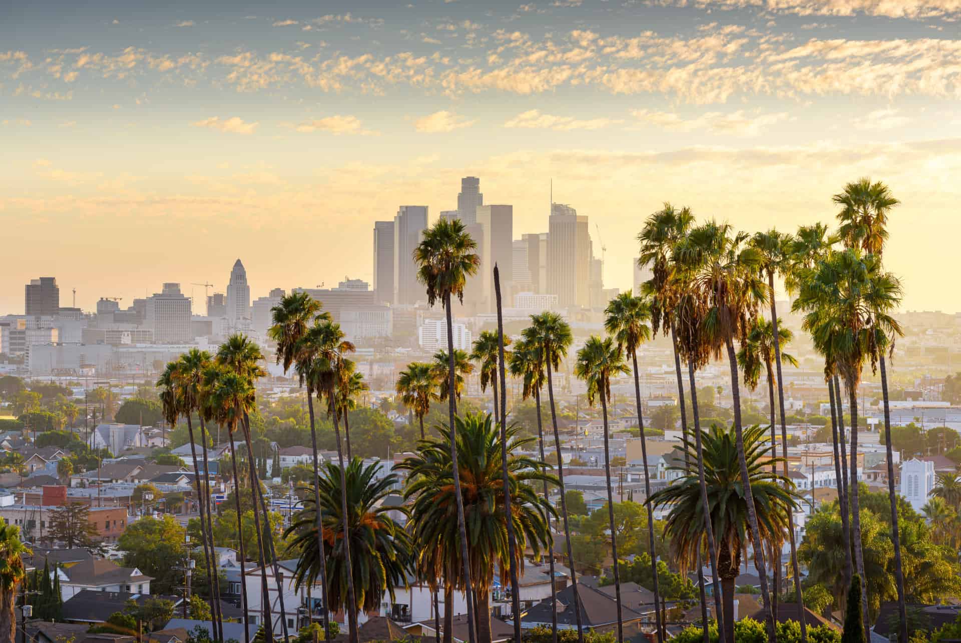 paysage los angeles