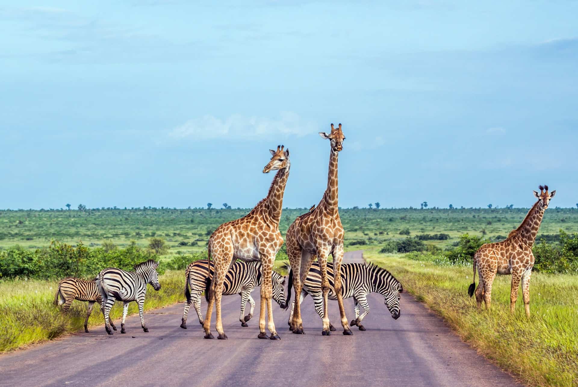 parc national kruger