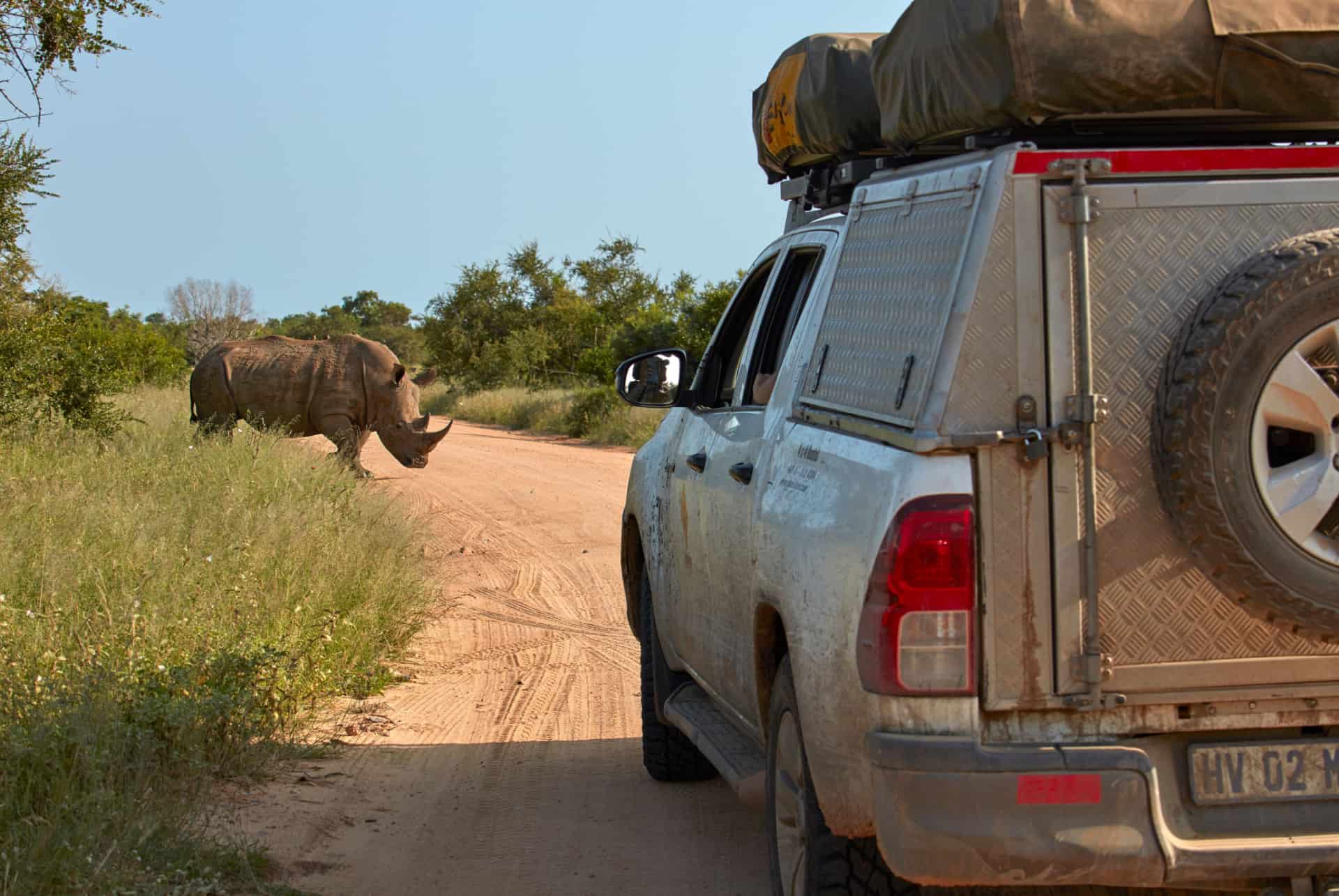 quel vehicule road trip afrique du sud