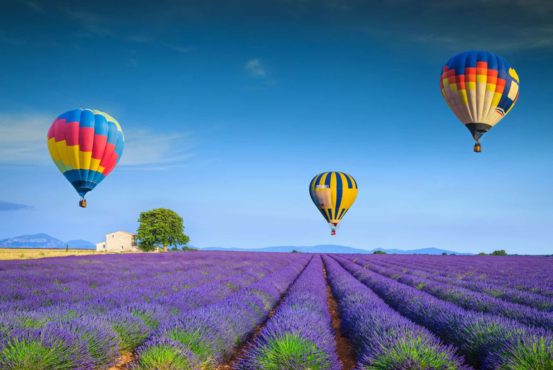 meilleurs vols montgolfiere france provence lavande