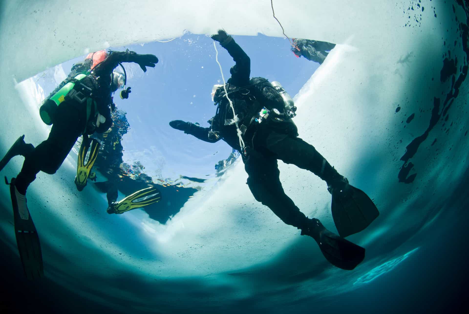 plongee sous la glace