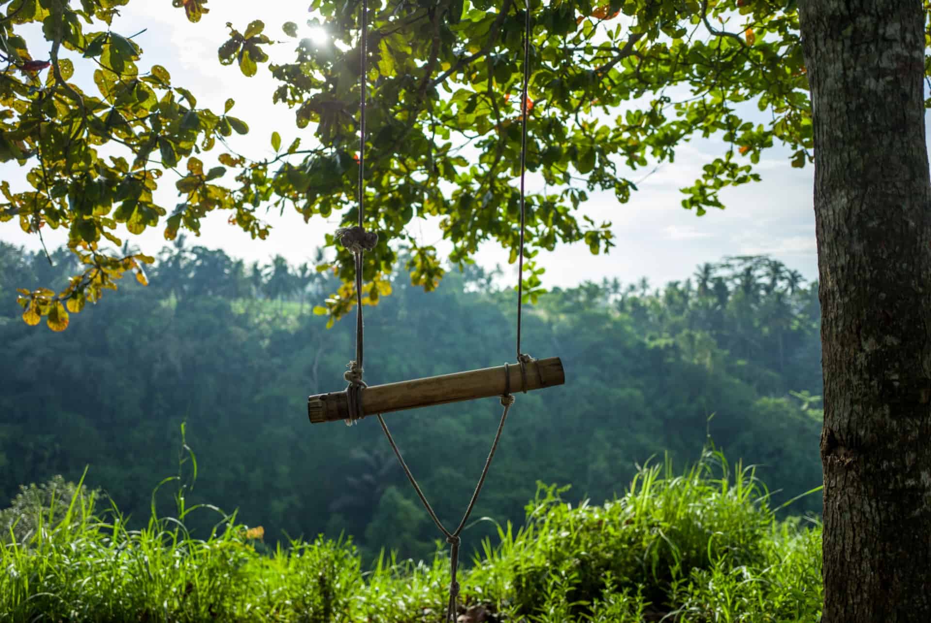 campuhan ridge walk ubud