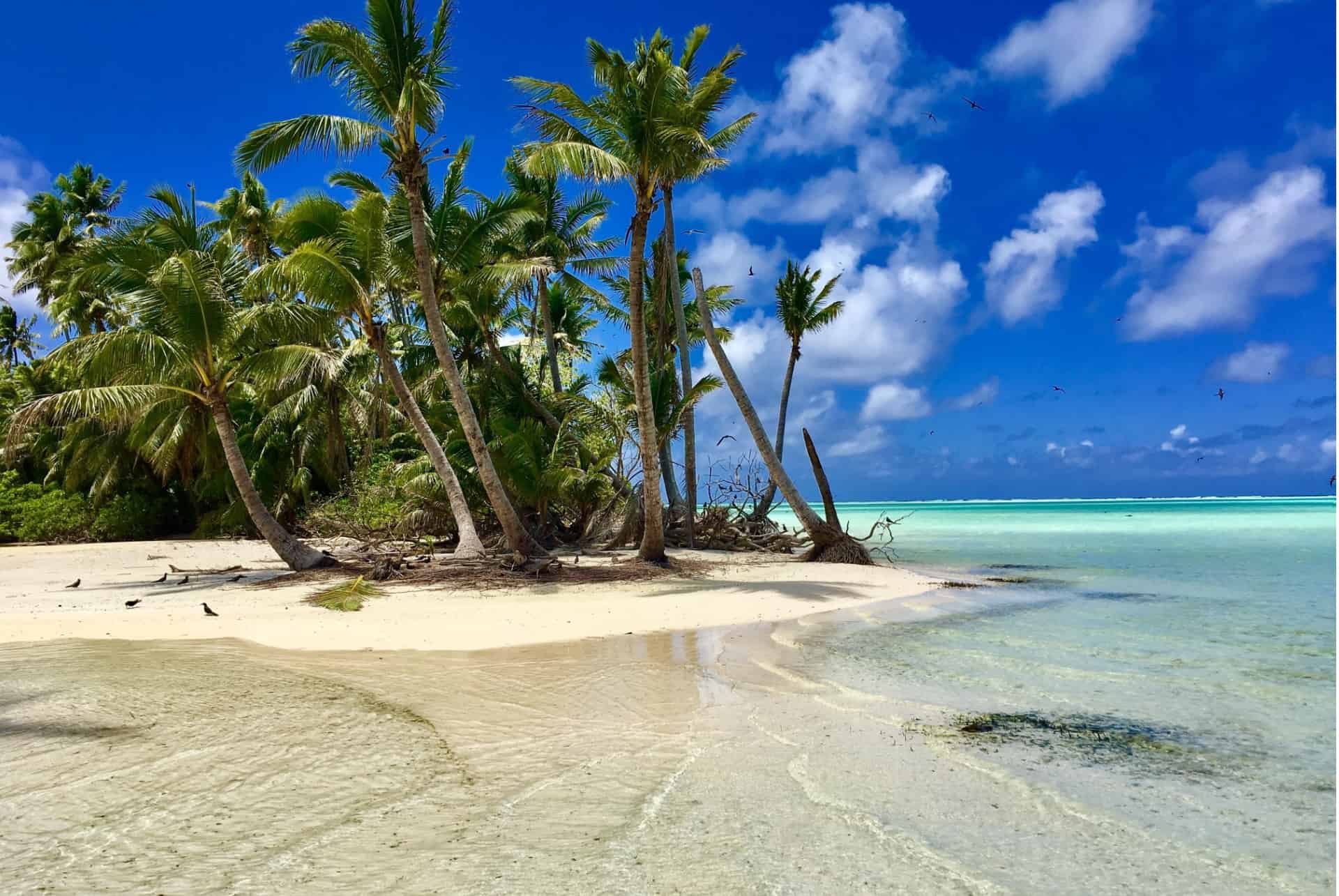 plage de tetiaroa tahiti