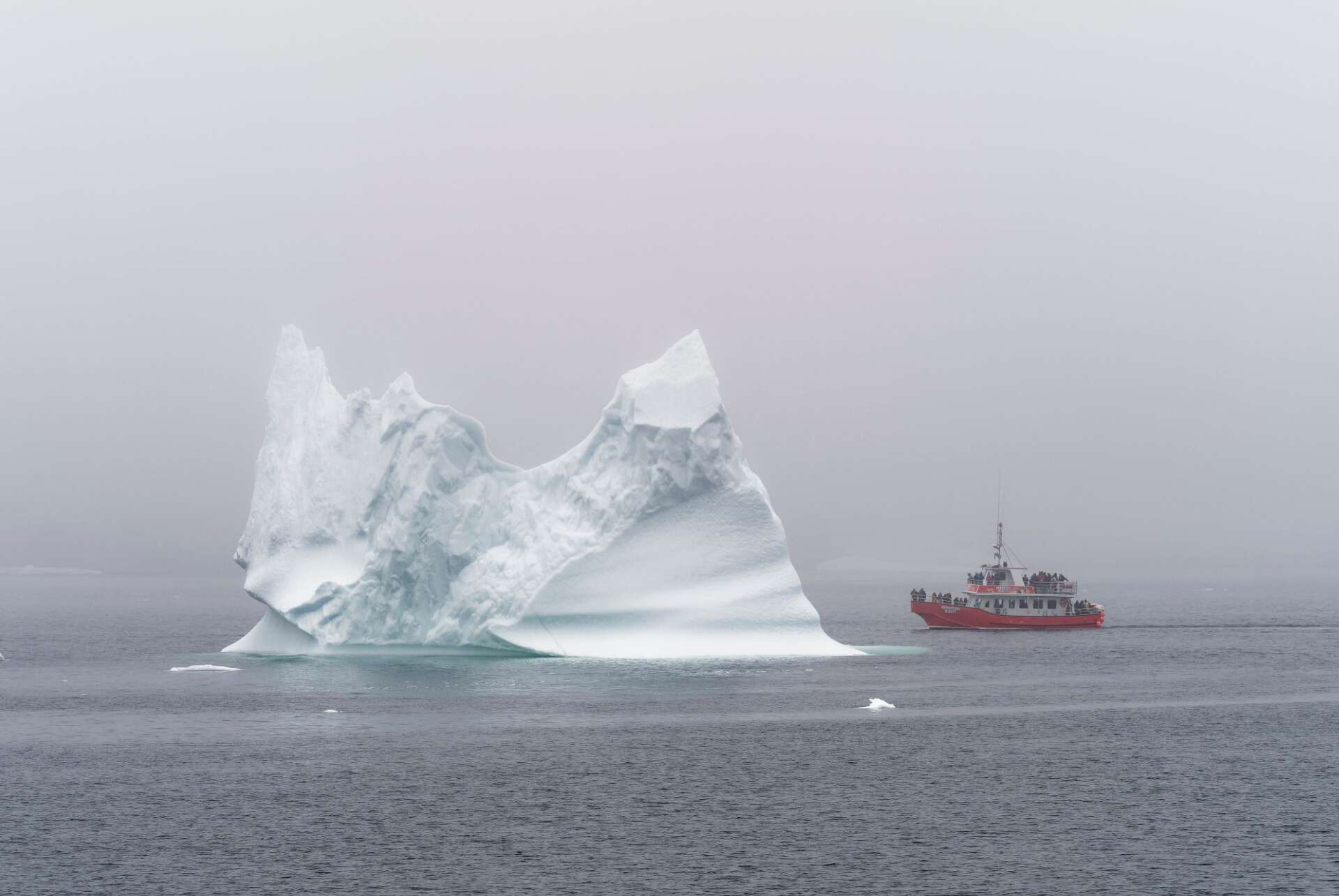 terre neuve iceberg que faire canada