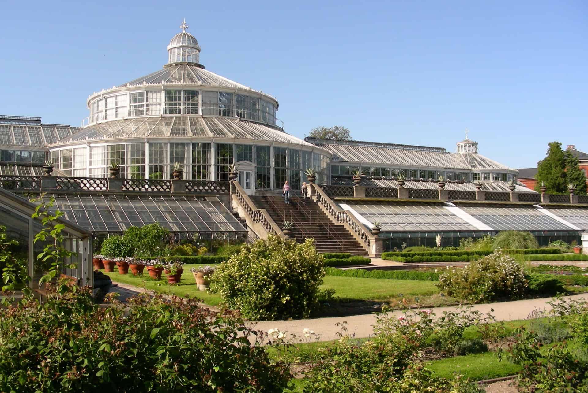 serre jardin botanique copenhague