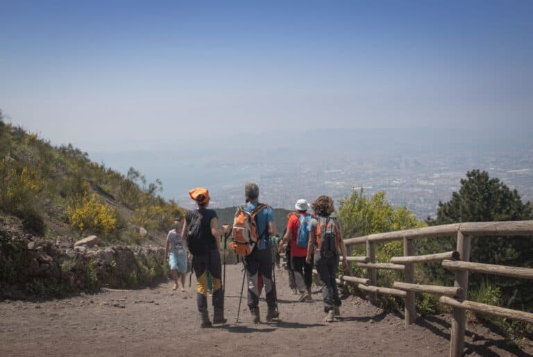 Billet pour le Vésuve et transport aller-retour depuis Ercolano