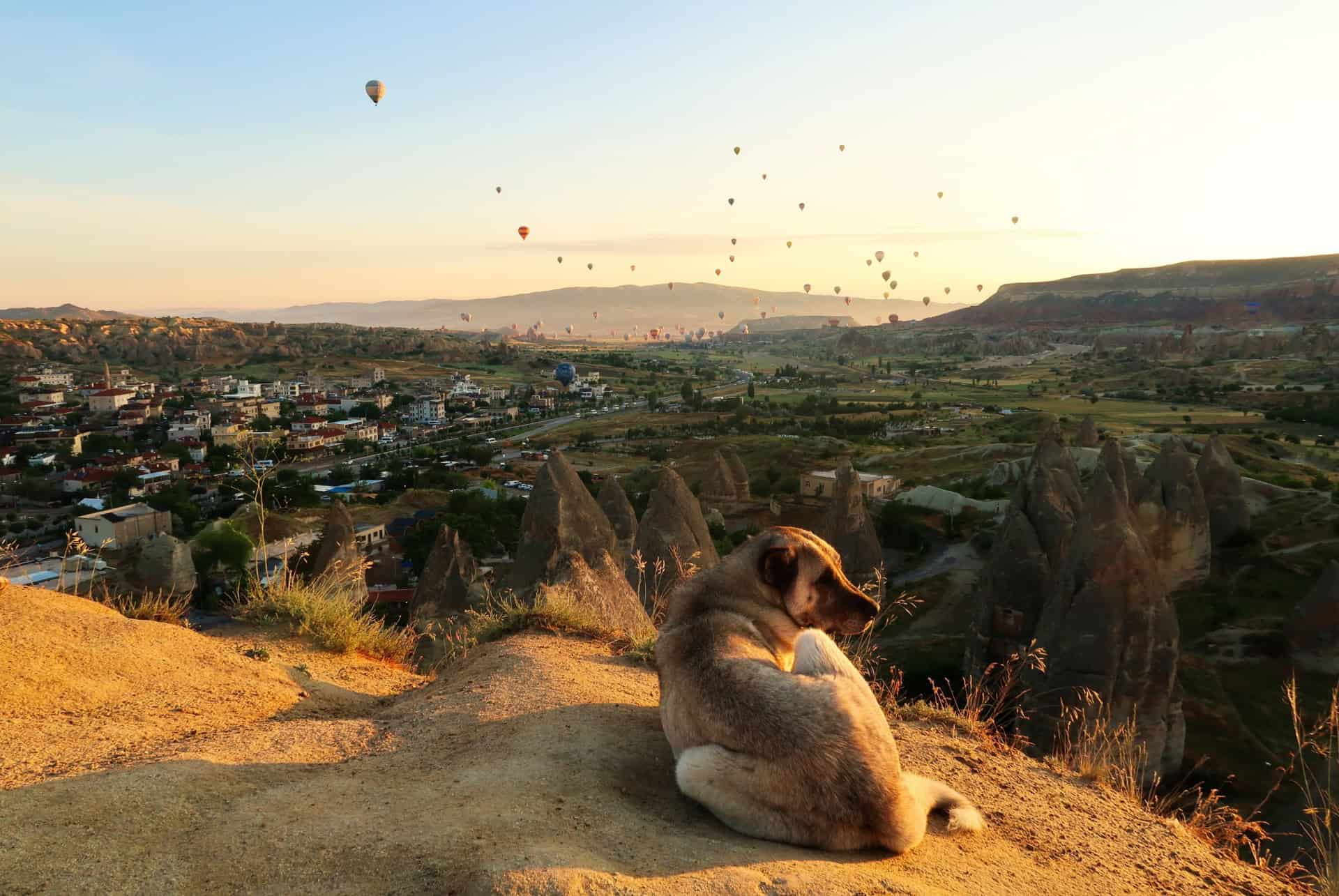 point de vue a goreme