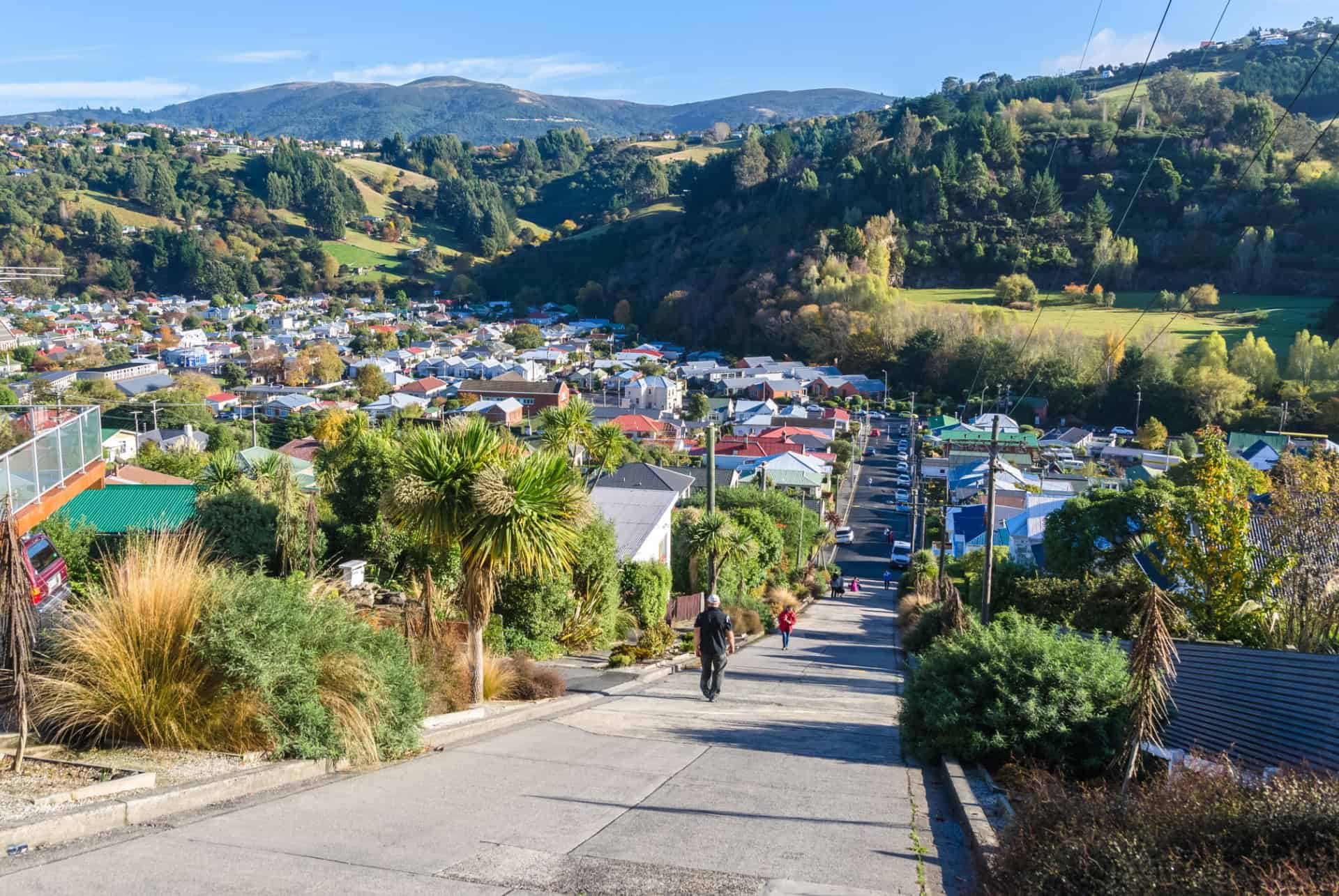 baldwin street que faire nouvelle zelande