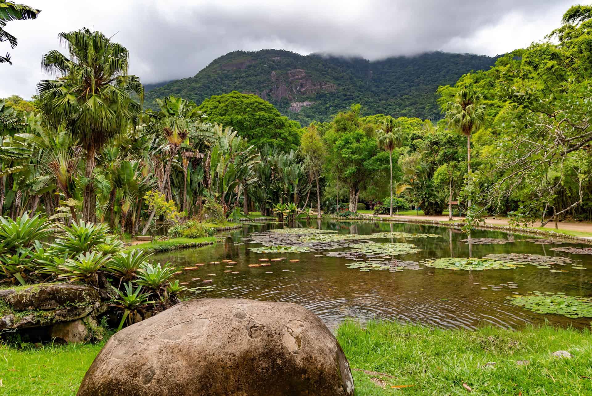 foret tropicale jardin botanique rio de janeiro