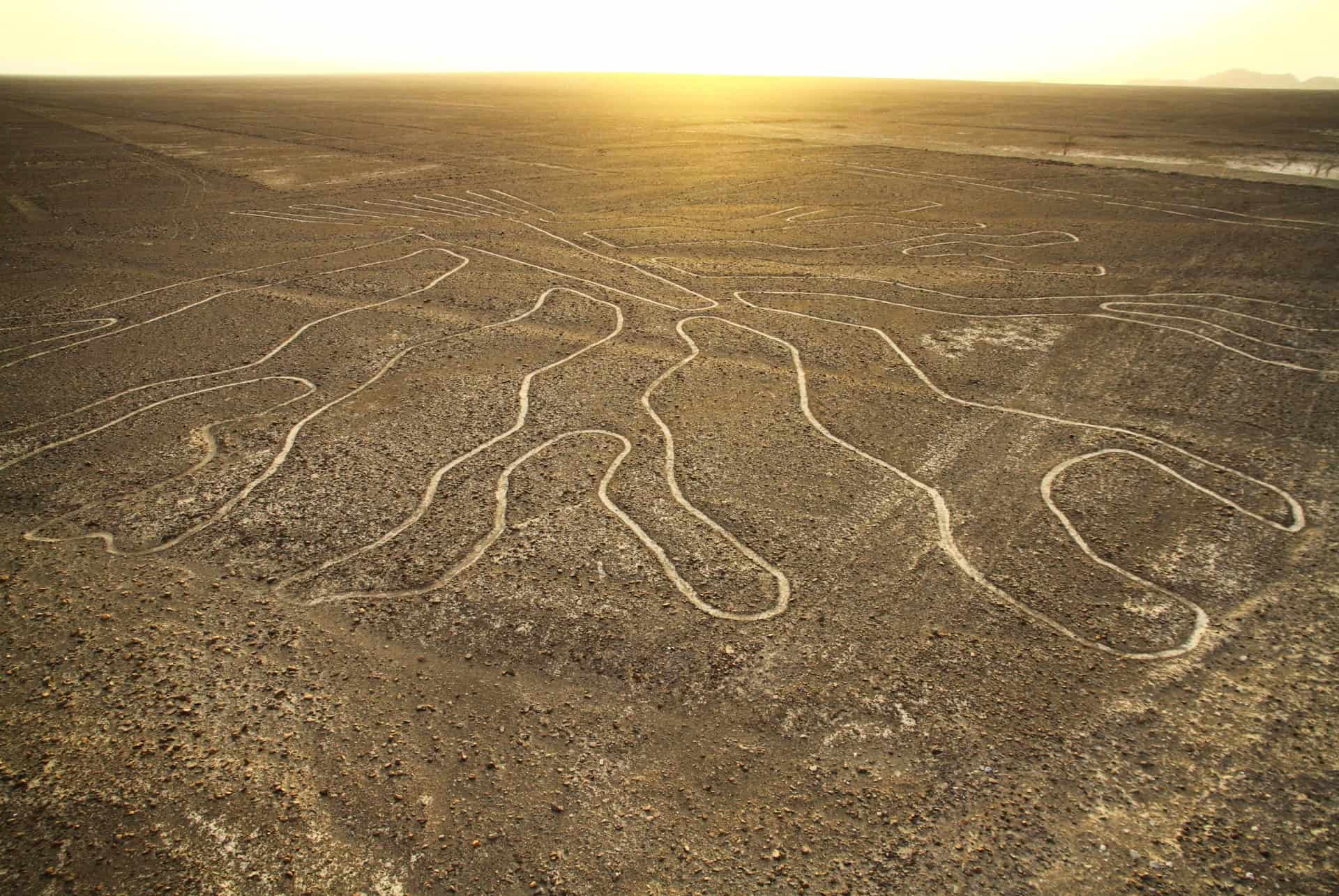 lignes nazca perou