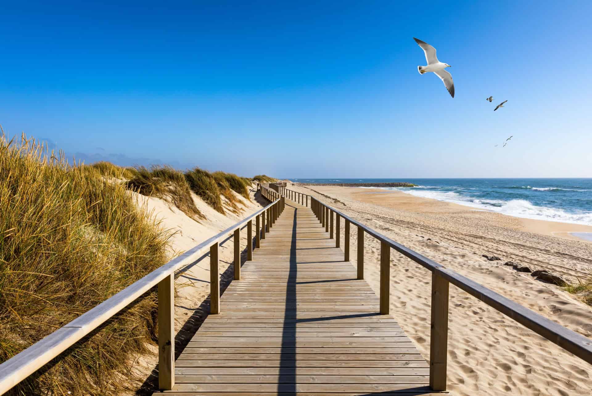 plage de costa nova portugal