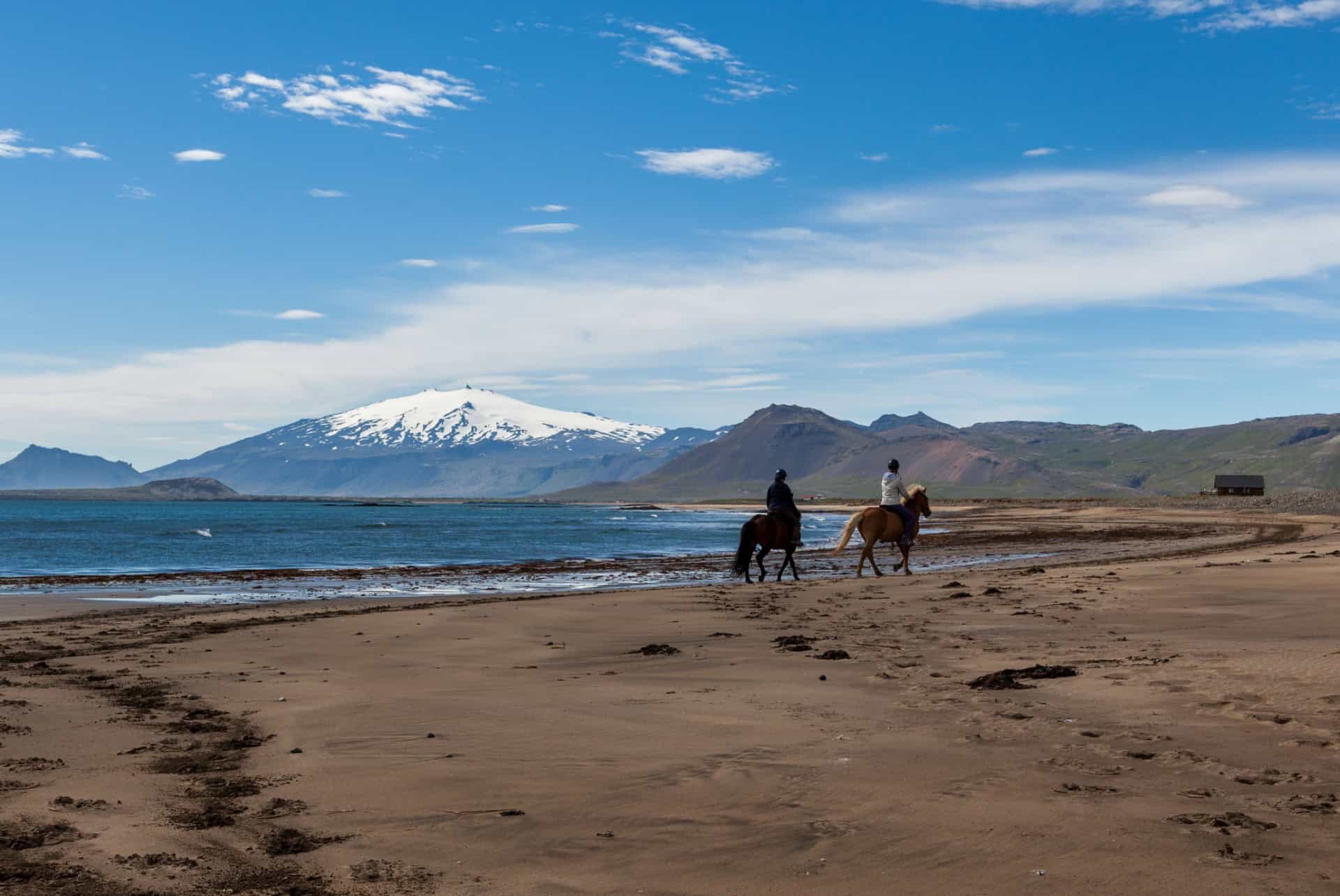 promenade a cheval islande