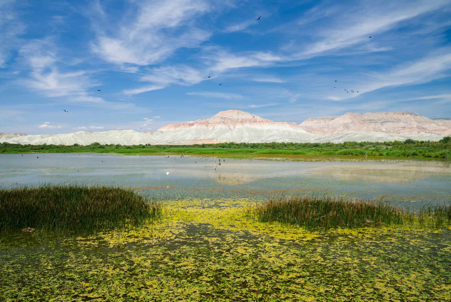 que faire en turquie paradis des oiseaux