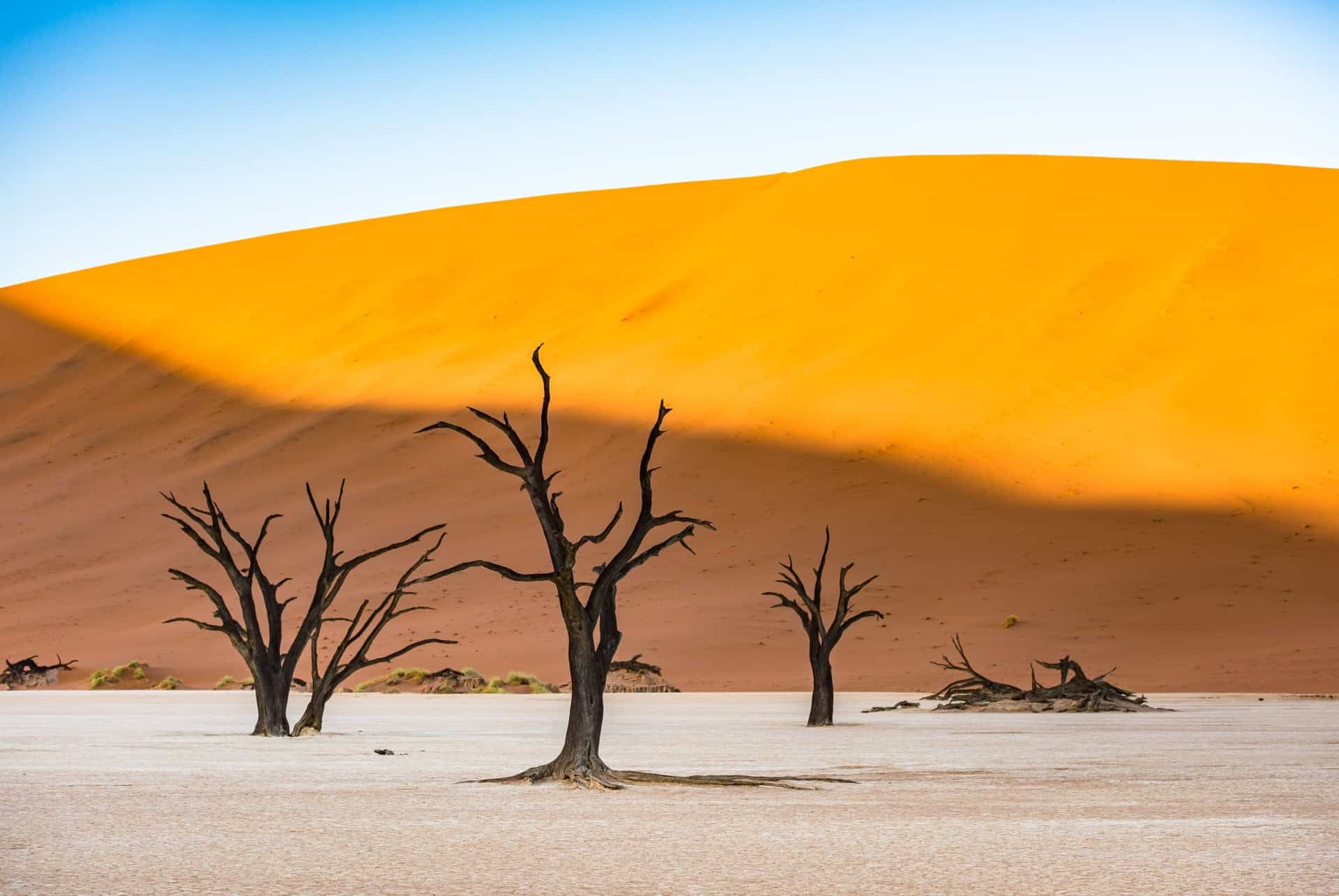 deadvlei visiter la namibie