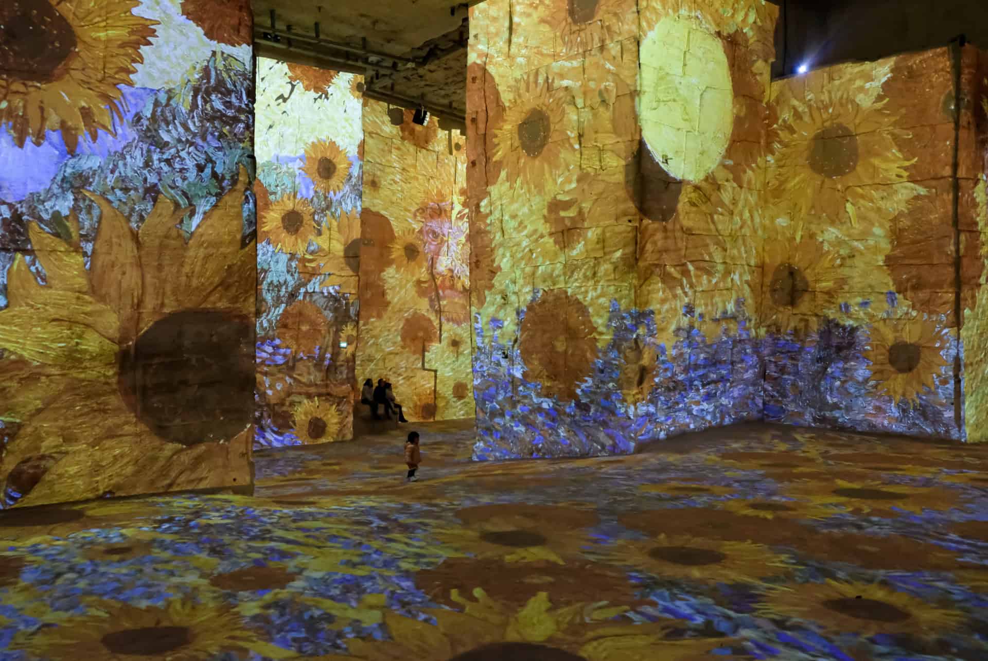 carriere des lumieres