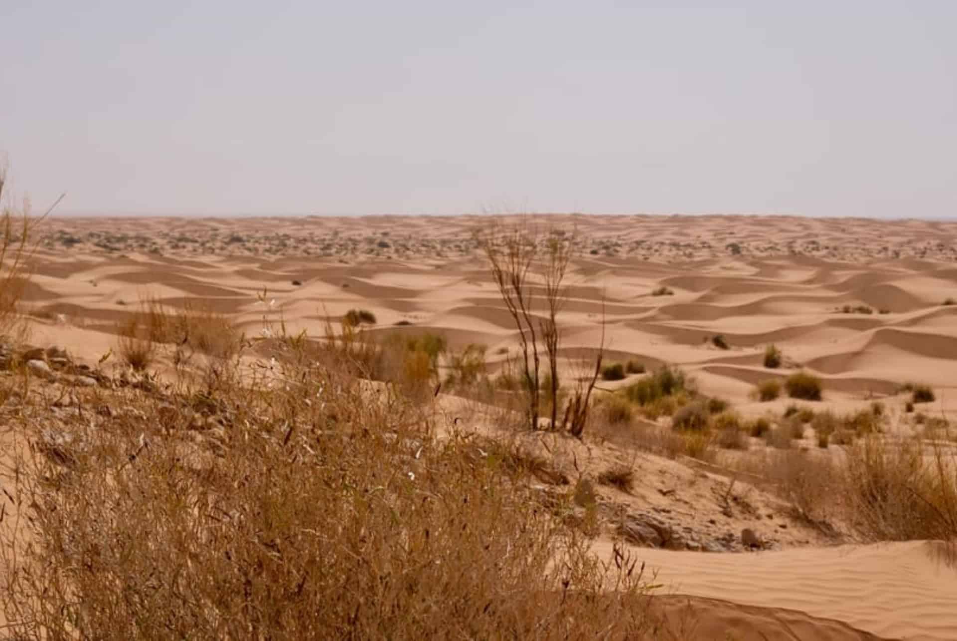 desert tunisie