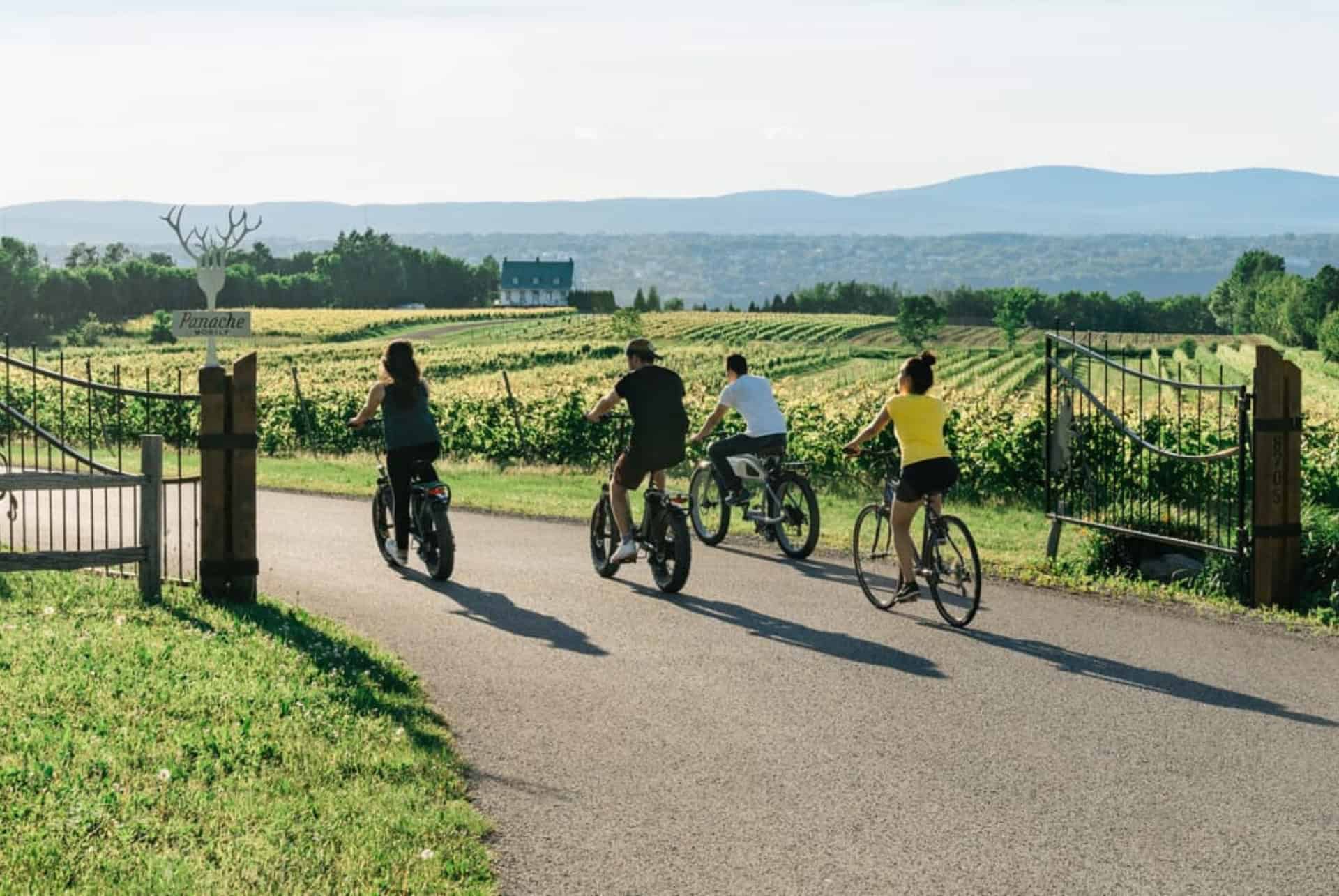 excursion en velo electrique et degustation