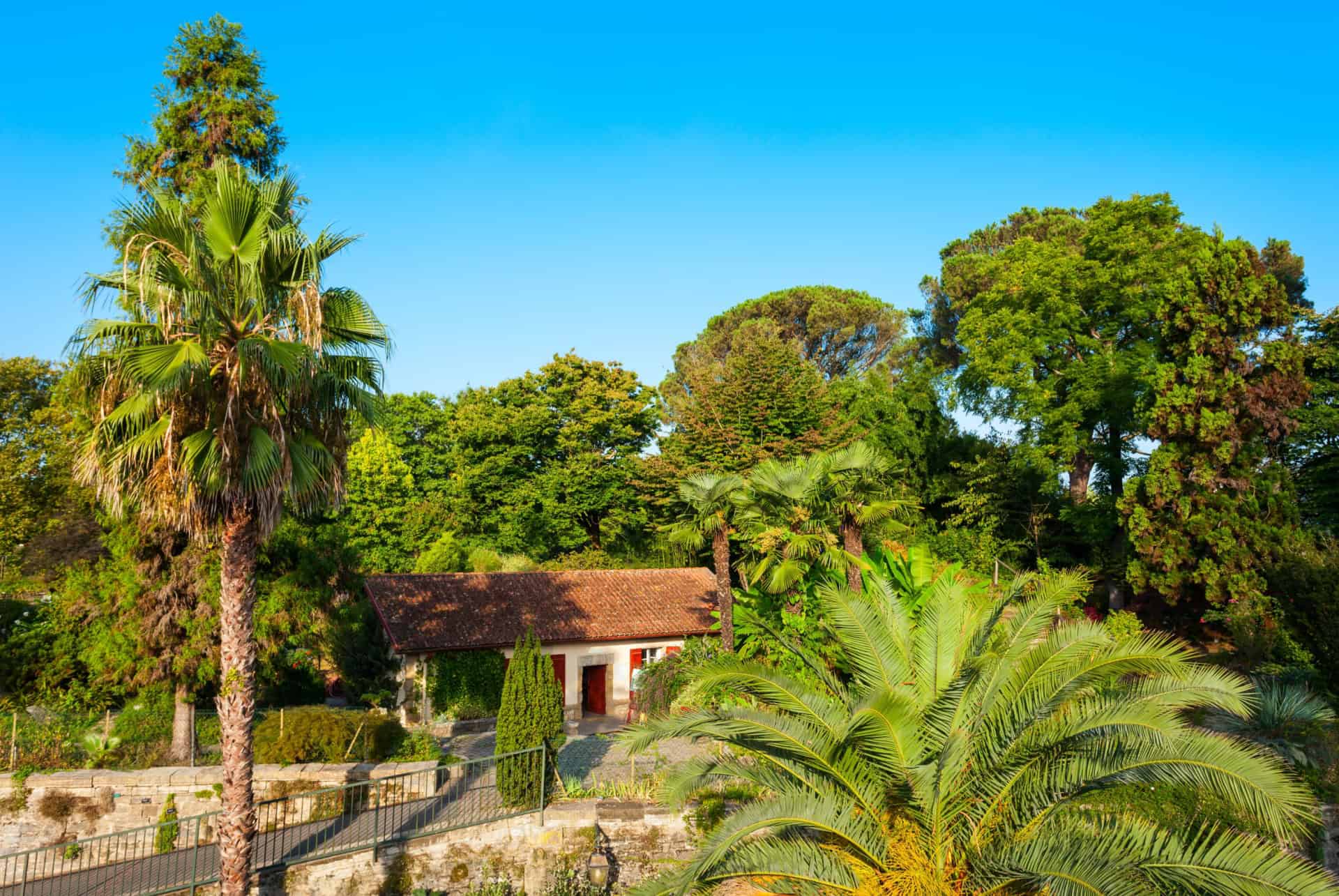 jardin botanique bayonne