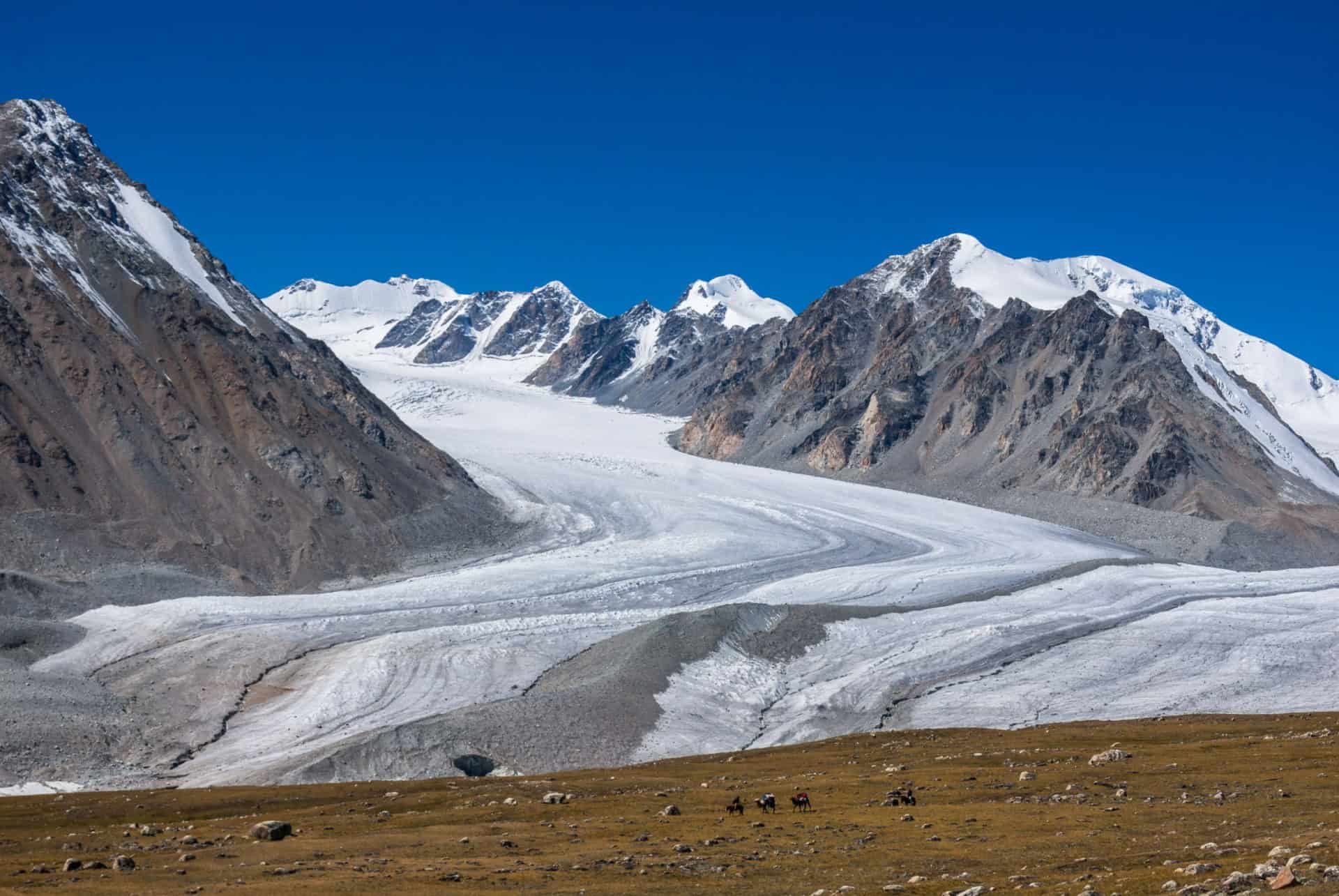 parc national tavan bogd