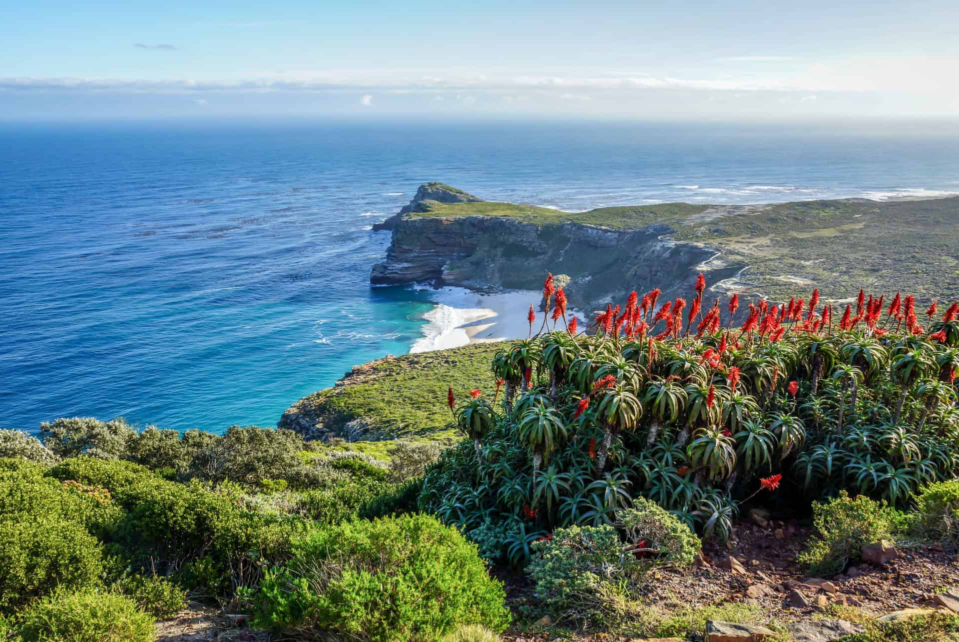 que faire a cape town cap bonne esperance