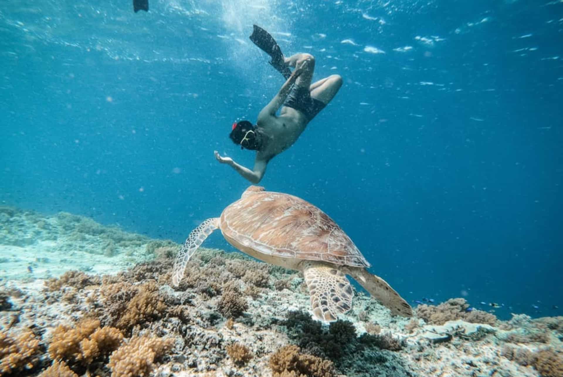 plongée à bali tortues aux îles gili