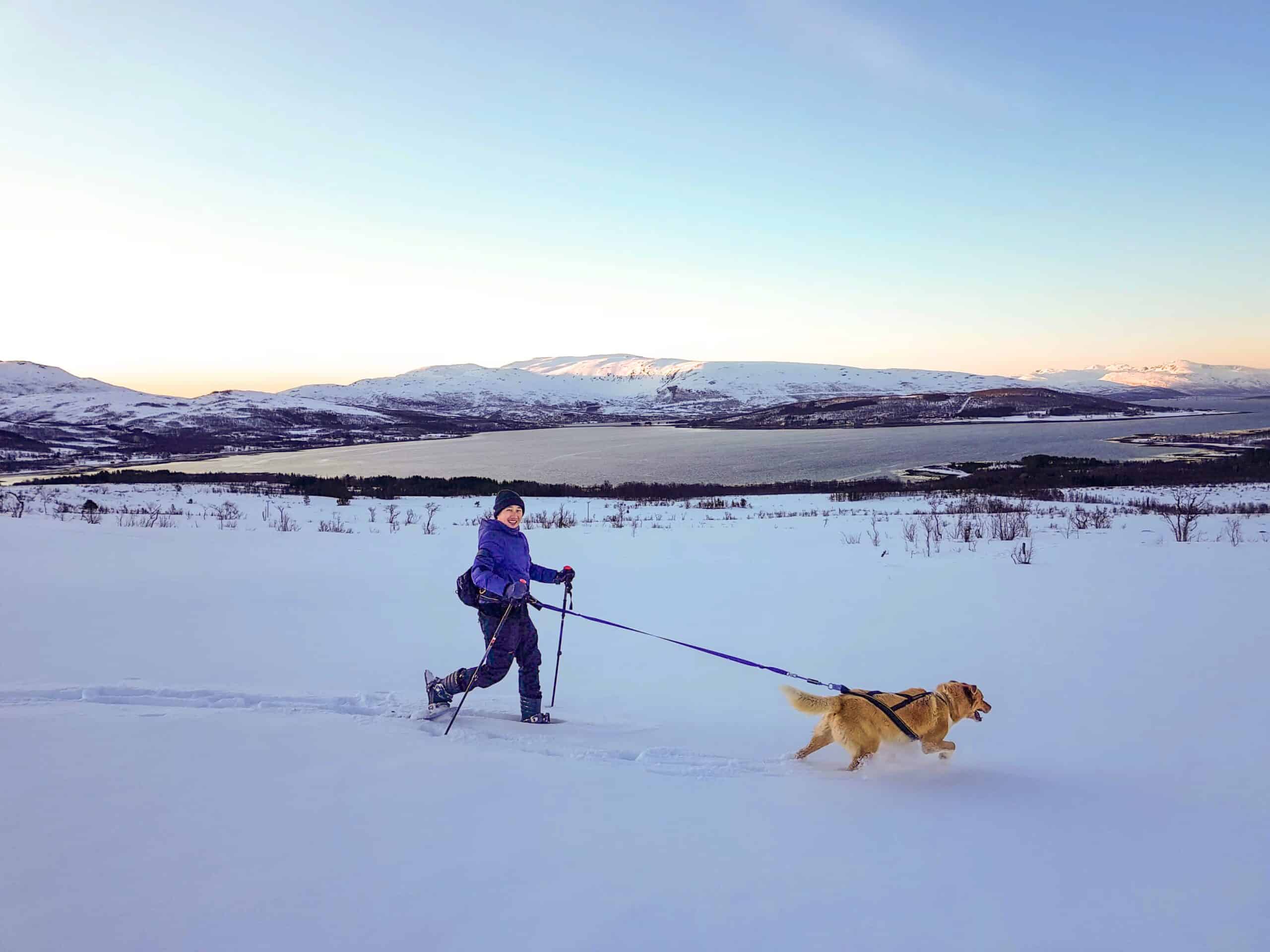 randonnee en raquettes tromso