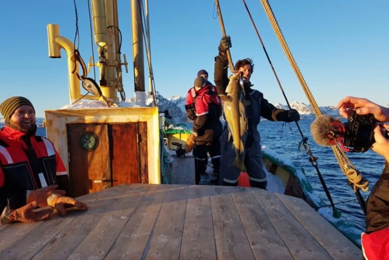 Excursion de pêche depuis Svolvær