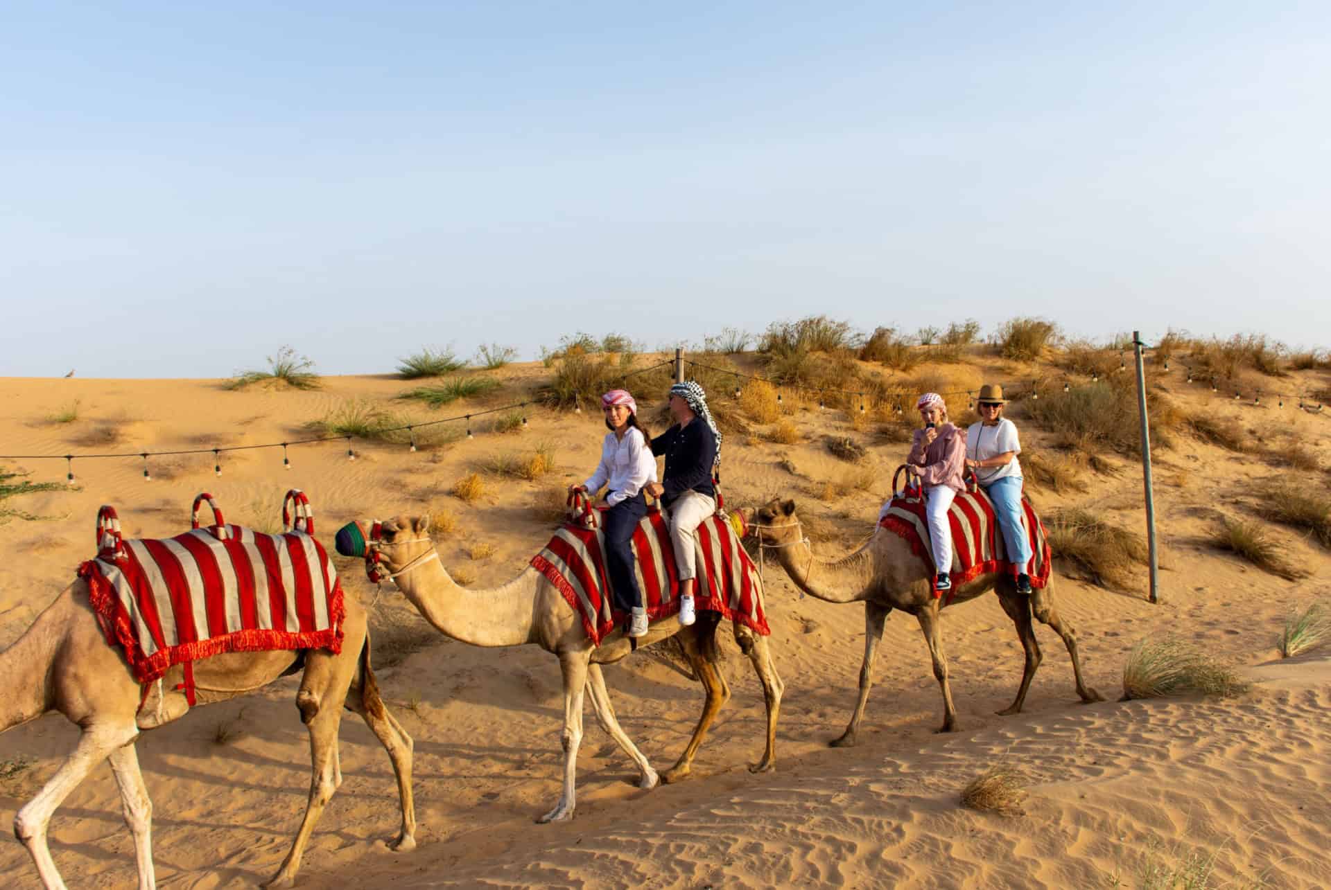 balade chameau desert dubai