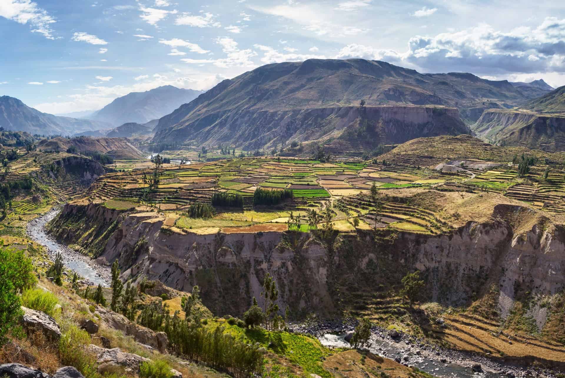 canyon de colca perou