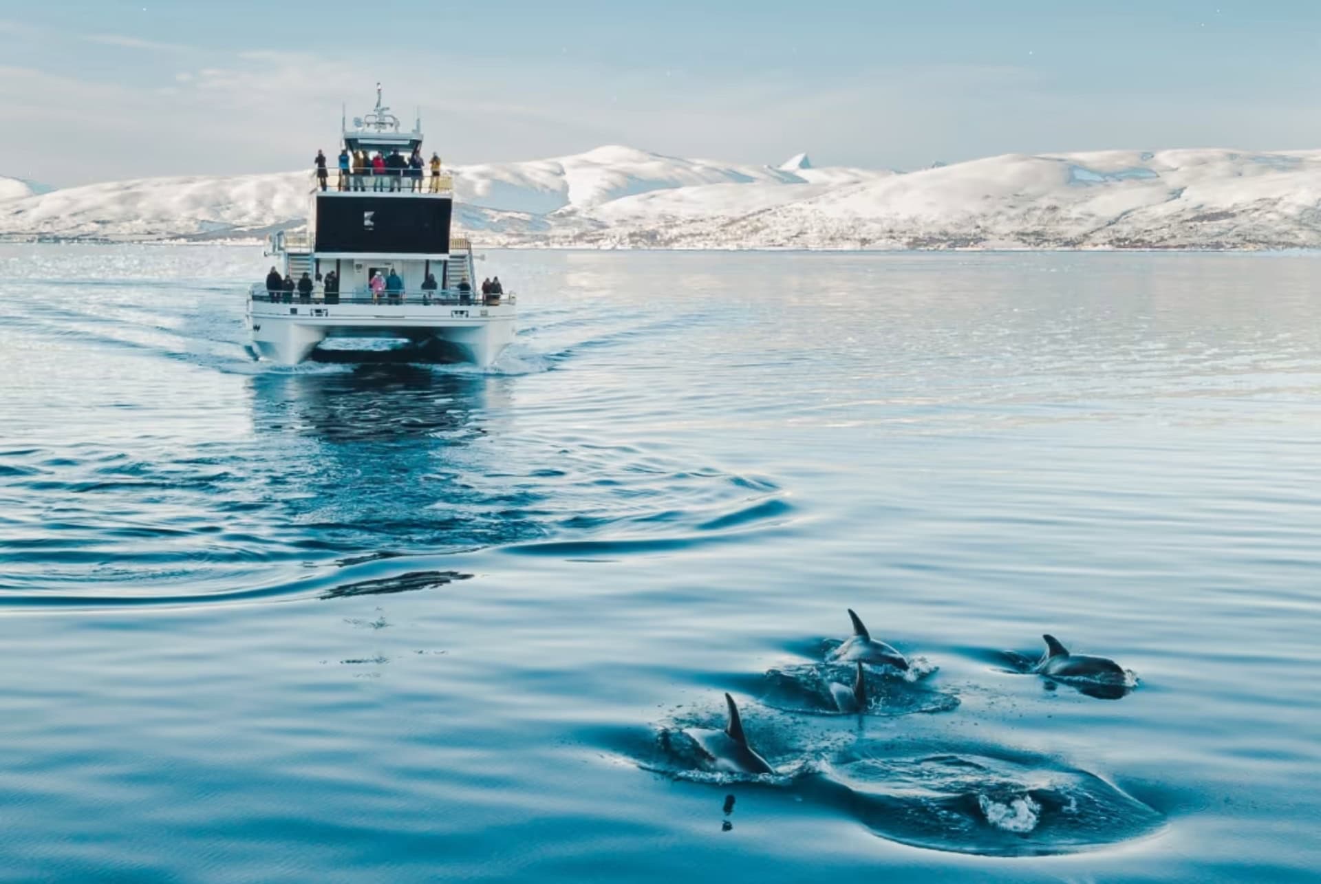 croisiere dans les fjords