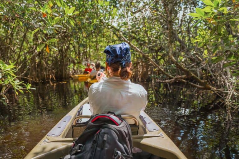 Kayak dans la mangrove